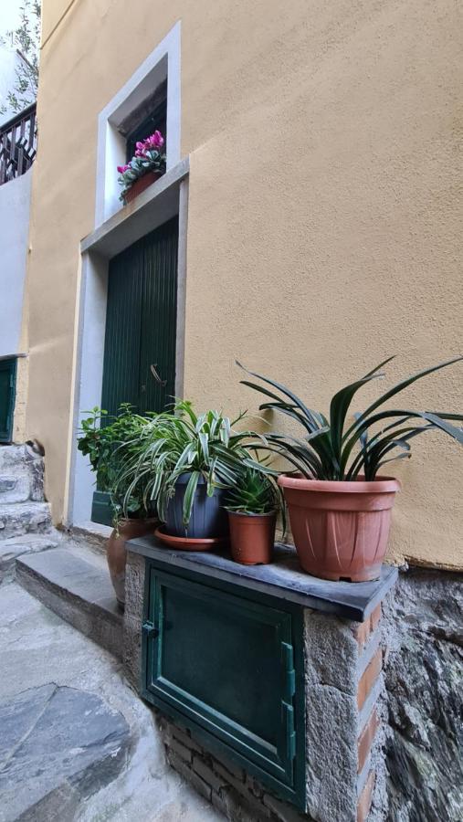 La Casa Di Ia Lejlighed Vernazza Eksteriør billede